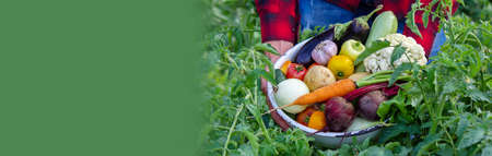 a man holds vegetables from a farm in Minsk. Natureの写真素材