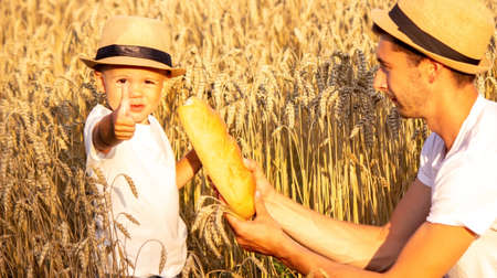 child in a wheat field with bread in hands selective focus.の写真素材