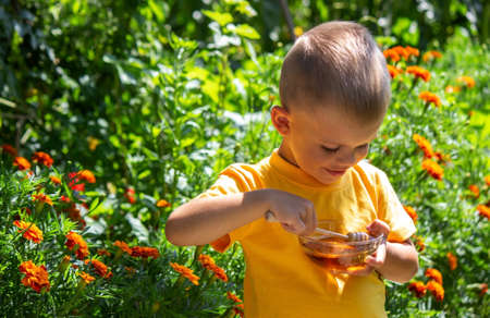 the child eats honey. Nature. Selective focusの写真素材