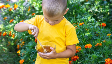 child eats honey in the garden. Nature. selective focusの写真素材