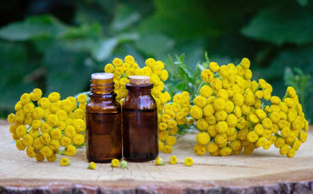 essential oil of immortelle on a wooden background. selective focus. Herbsの写真素材