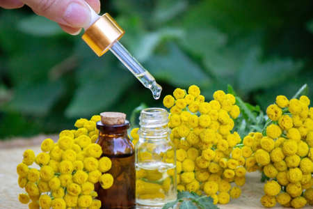 essential oil of immortelle on a wooden background. selective focus. Herbsの写真素材