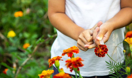 the concept of a child treats a plant from a disease. He pricks a flower. Nature. selective focus