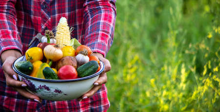 woman in the garden with vegetables in her hands. selective focus. nature.の写真素材