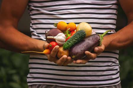 organic vegetables. Farmers hands with freshly harvested vegetables. selective focusの写真素材