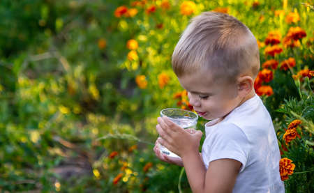 A child drinks water on the background of the field. selective focus.の写真素材