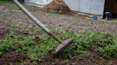 a man cleans weeds in the garden. Spring cleaning on the farm. selective focus