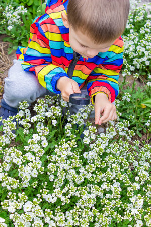 The child looks through a magnifying glass at the flowers Zoom in. selective focus.
