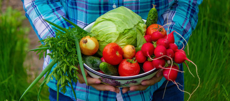 freshly picked vegetables. The farmer is holding a bowl of fresh vegetables. selective focusの写真素材