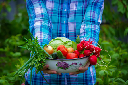 freshly picked vegetables. The farmer is holding a bowl of fresh vegetables. selective focusの写真素材