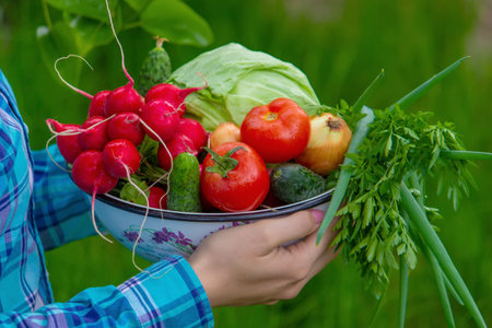 the farmer holds a crop of vegetables in his hands. selective focus. nature.