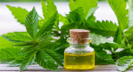 hemp oil. fresh cannabis leaves. Jars of cannabis oil. selective focusの写真素材