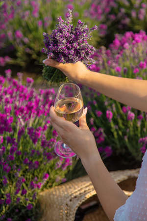 The girl is resting in a lavender field, drinking wine. selective focus. relaxationの写真素材