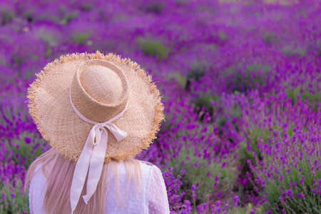 the girl is resting in the lavender field. selective focusの写真素材
