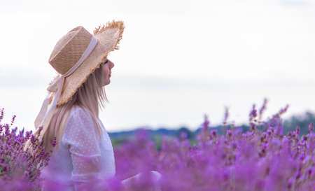 the girl is resting in the lavender field. selective focusの写真素材