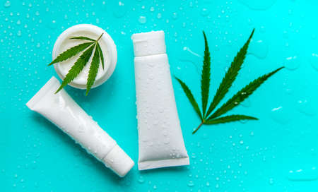 Cosmetics with cannabis extract natural. selective focus. Nature.の写真素材