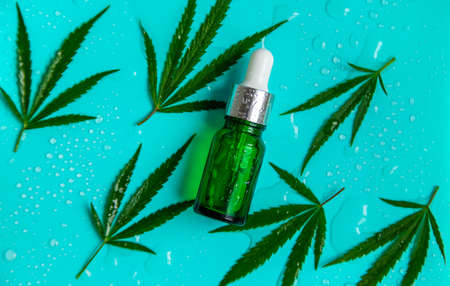 Cannabis oil natural on a wet background. selective focus. Nature.の写真素材