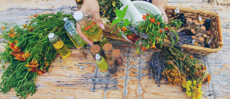 Medicinal herbs and natural tinctures. selective focus. Nature.の写真素材