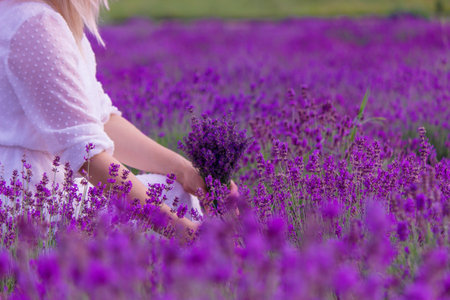 Woman in a field of lavender flowers in a white dress. Ukraine. selective focusの写真素材
