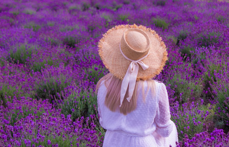 Woman in a field of lavender flowers in a white dress. Ukraine. selective focusの写真素材