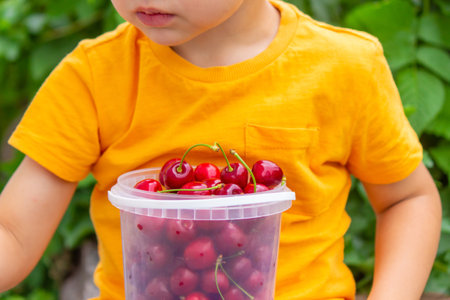 The child eats cherries in the garden. selective focus.の写真素材