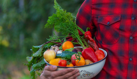 A male farmer holds a crop of vegetables in his hands. selective focus. nature.