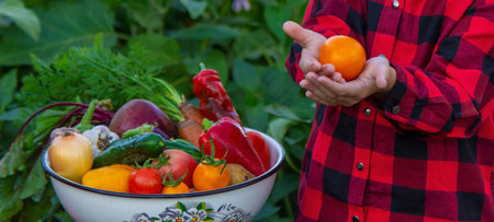 A child holds a harvest of vegetables in his hands. selective focus. nature.の写真素材