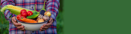 The farmer holds freshly picked vegetables in his hands. selective focusの写真素材