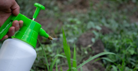 farmer sprays weeds in the garden. selective focus. nature