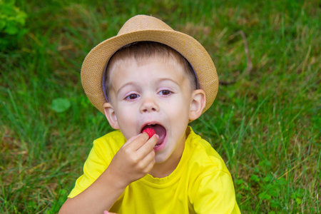 the boy holds a basket with ripe raspberry berries. selective focusの写真素材