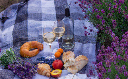wine, fruits, berries, cheese, glasses picnic in lavender field Selective focus Natureの写真素材