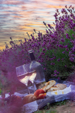 wine, fruits, berries, cheese, glasses picnic in lavender field Selective focus Natureの写真素材