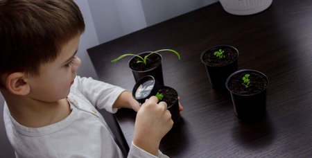a boy looks through a magnifying glass at a flower growing in a flowerpot. selective focusの写真素材