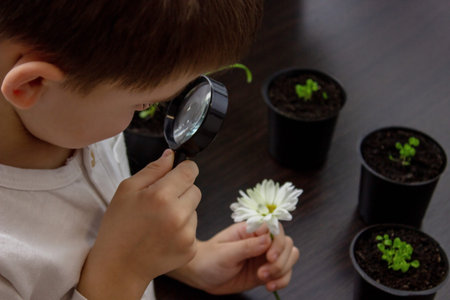 the boy looks into a magnifying glass at a flower. selective focus