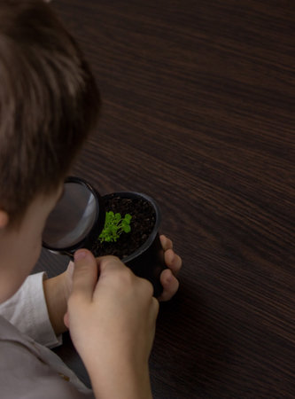 a boy looks at a flower in a pot through a magnifying glass. selective focusの写真素材