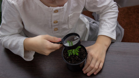 a boy looks at a flower in a pot through a magnifying glass. selective focusの写真素材