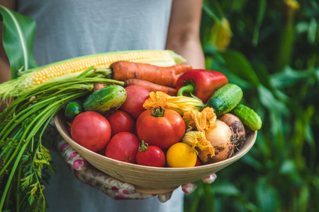 Farmer woman harvests vegetables in the garden. selective focus. food.の写真素材