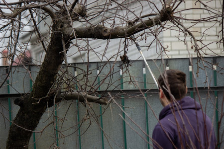 A farmer sprays a flowering fruit tree against plant diseases and pests. selective focusの写真素材