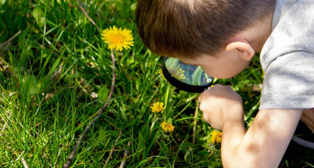 the boy looks at the flower through a magnifying glass. selective focusの写真素材
