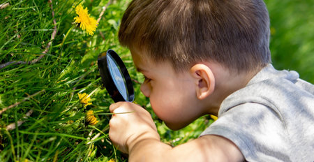 the boy looks at the flower through a magnifying glass. selective focusの写真素材