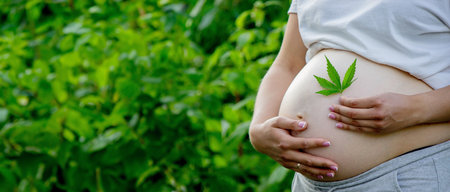 Pregnant belly with cannabis leaf. selective focus. people.