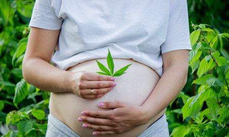 Pregnant belly with cannabis leaf. selective focus. people.の写真素材