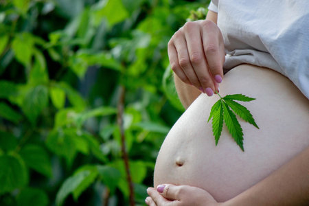 Pregnant belly with cannabis leaf. selective focus. people.の写真素材
