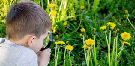 the boy looks at the flower through a magnifying glass. selective focus