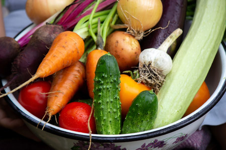boy in the garden holding a bowl of freshly picked vegetables. selective focus