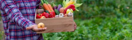 male farmer holding a box with fresh vegetables. selective focus. Natureの写真素材