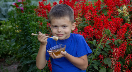 the boy eats honey in the garden, honey from his apiary. selective focus. Natureの写真素材