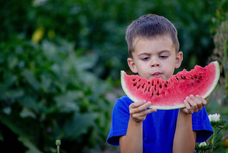 A child eats a watermelon. selective focus. Natureの写真素材