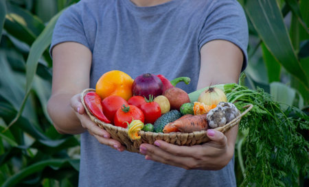 the farmer holds a basket of vegetables in his hands. selective focus. natureの写真素材