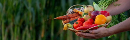 the farmer holds a basket of vegetables in his hands. selective focus. nature